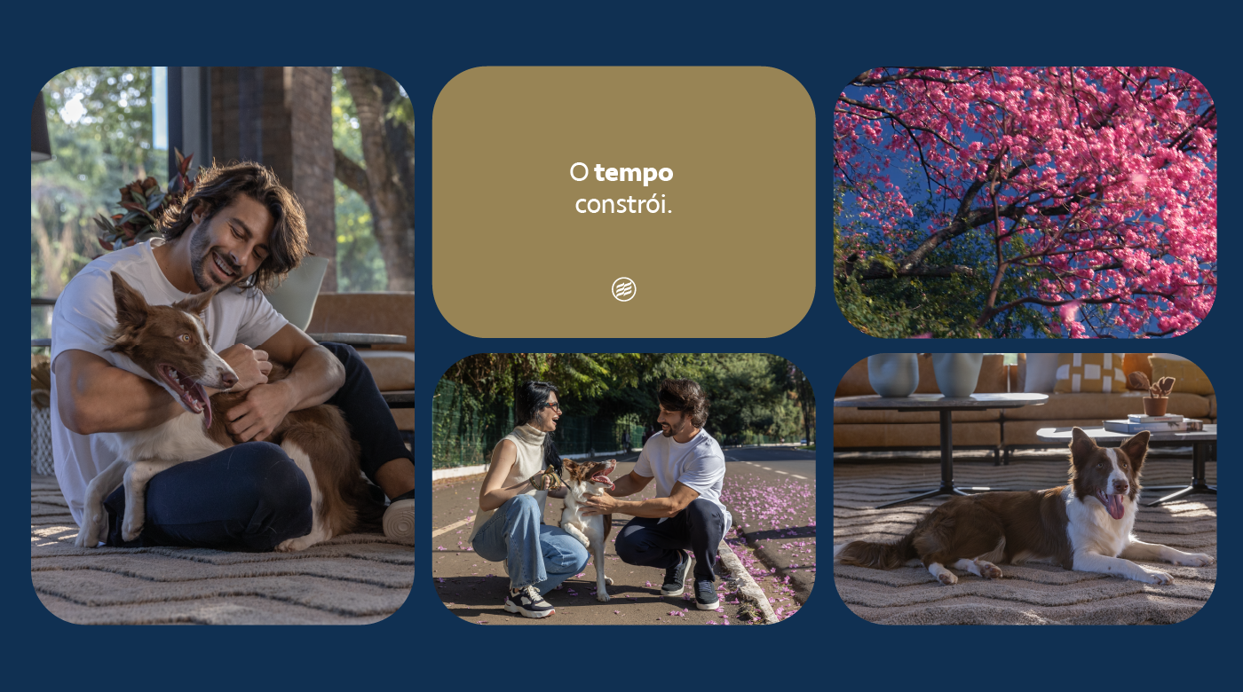 Momentos de bem-estar, natureza e conexão com pets - Embraed